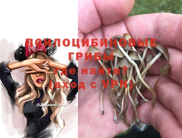 таблы Билибино