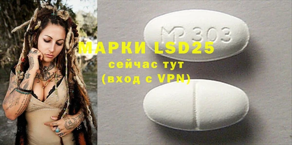прущие грибы Беслан
