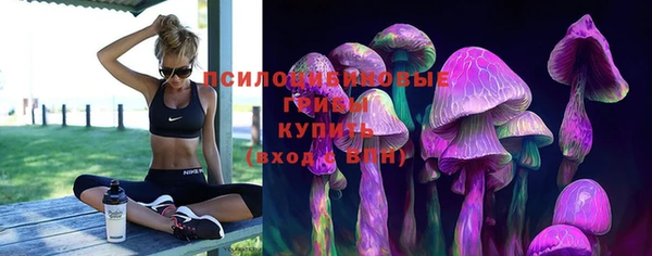 гашишное масло Бикин