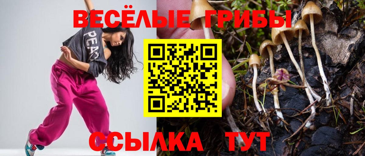 Псилоцибиновые грибы Psilocybe  Вход с VPN  где продают наркотики  Псилоцибиновые грибы Magic Shrooms  Вятские Поляны 